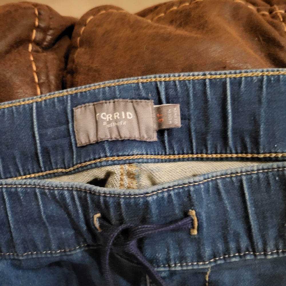 Torrid Jean Joggers